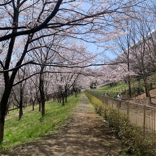 f:id:morinobanana:20220402101956j:image f:id:morinobanana:20220402101956j:image