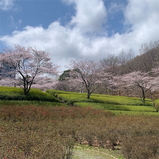 f:id:morinobanana:20220402134101j:image f:id:morinobanana:20220402134101j:image