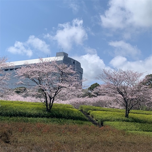 f:id:morinobanana:20220402134926j:image f:id:morinobanana:20220402134926j:image