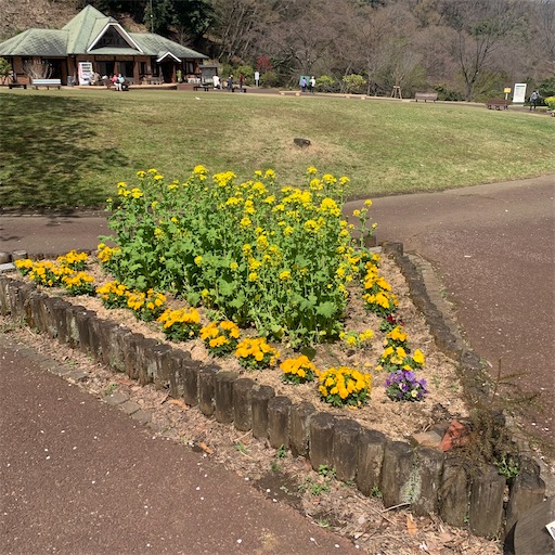 f:id:morinobanana:20220402145319j:image f:id:morinobanana:20220402145319j:image