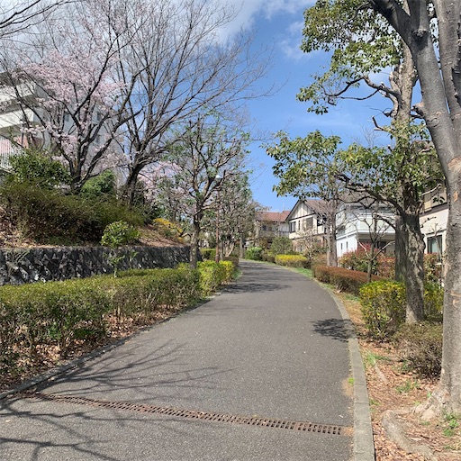 f:id:morinobanana:20220402152649j:image f:id:morinobanana:20220402152649j:image