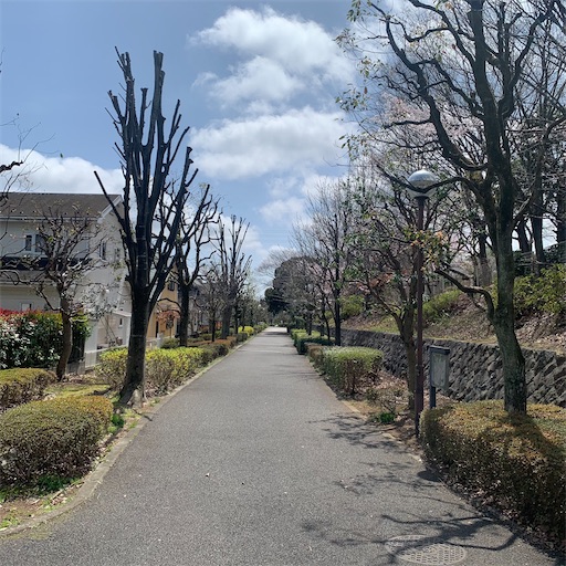 f:id:morinobanana:20220402152837j:image f:id:morinobanana:20220402152837j:image