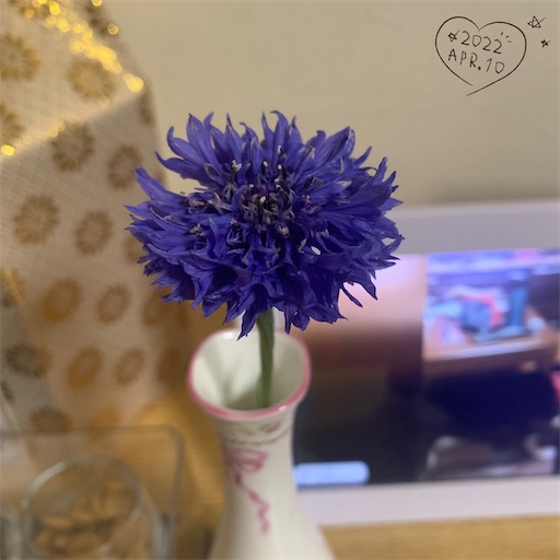f:id:morinobanana:20220411223812j:image f:id:morinobanana:20220411223812j:image