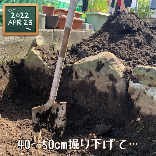 f:id:morinobanana:20220424221438j:image f:id:morinobanana:20220424221438j:image