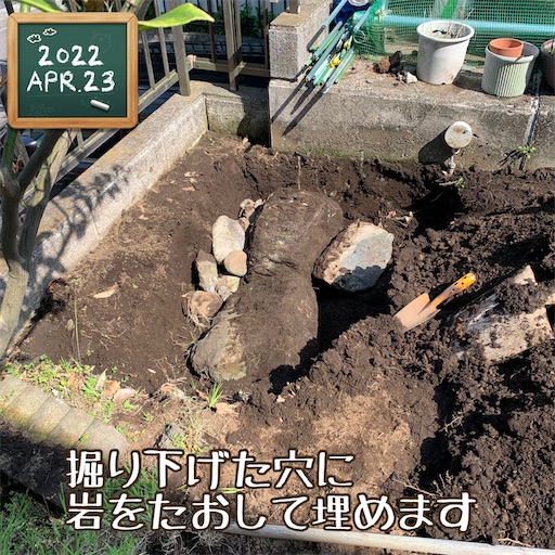 f:id:morinobanana:20220424221503j:image f:id:morinobanana:20220424221503j:image