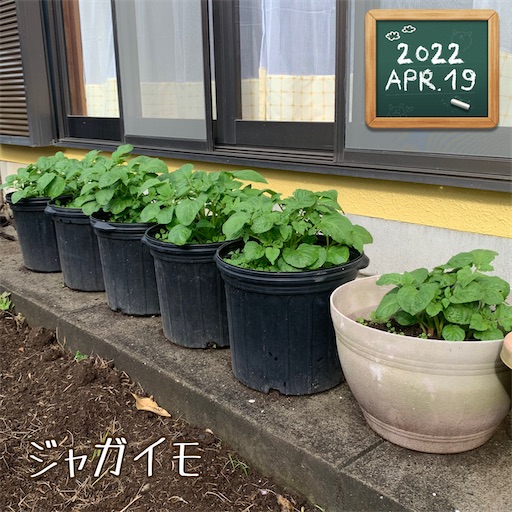 f:id:morinobanana:20220430120642j:image f:id:morinobanana:20220430120642j:image