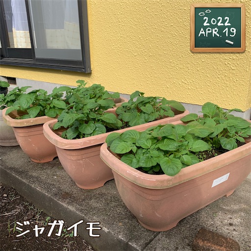 f:id:morinobanana:20220430120644j:image f:id:morinobanana:20220430120644j:image