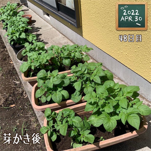 f:id:morinobanana:20220430120911j:image f:id:morinobanana:20220430120911j:image