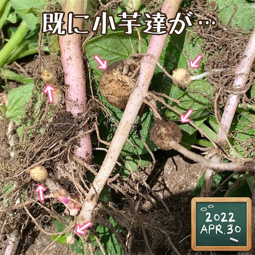f:id:morinobanana:20220430120933j:image f:id:morinobanana:20220430120933j:image