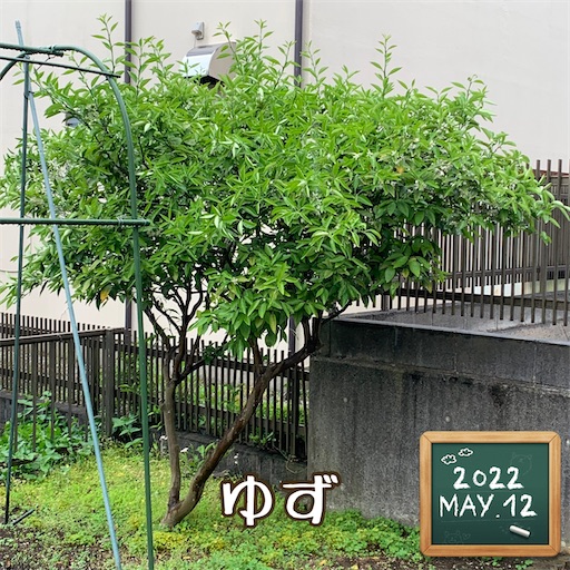 f:id:morinobanana:20220512152617j:image f:id:morinobanana:20220512152617j:image