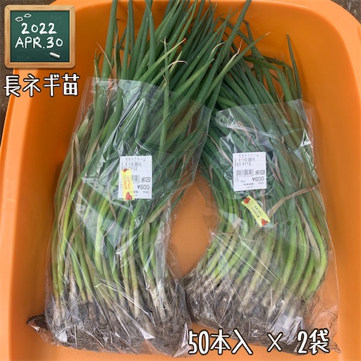 f:id:morinobanana:20220513215755j:image f:id:morinobanana:20220513215755j:image