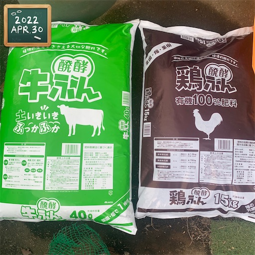 f:id:morinobanana:20220525150438j:image f:id:morinobanana:20220525150438j:image