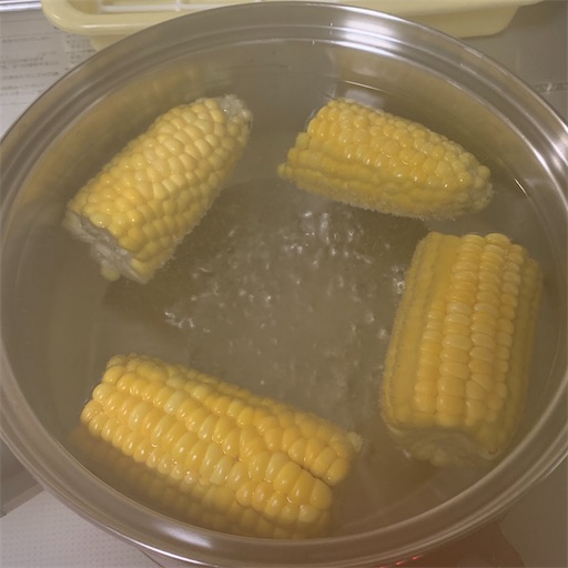f:id:morinobanana:20220615171014j:image f:id:morinobanana:20220615171014j:image