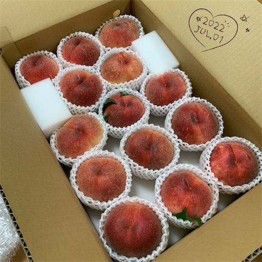 f:id:morinobanana:20220706142614j:image f:id:morinobanana:20220706142614j:image