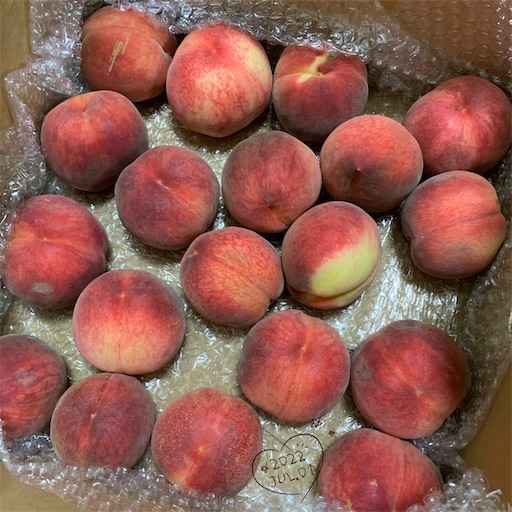 f:id:morinobanana:20220706143556j:image f:id:morinobanana:20220706143556j:image