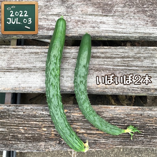 f:id:morinobanana:20220706215019j:image f:id:morinobanana:20220706215019j:image