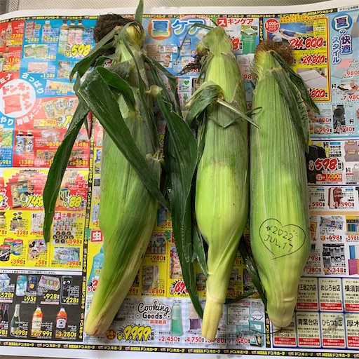 f:id:morinobanana:20220728102230j:image f:id:morinobanana:20220728102230j:image