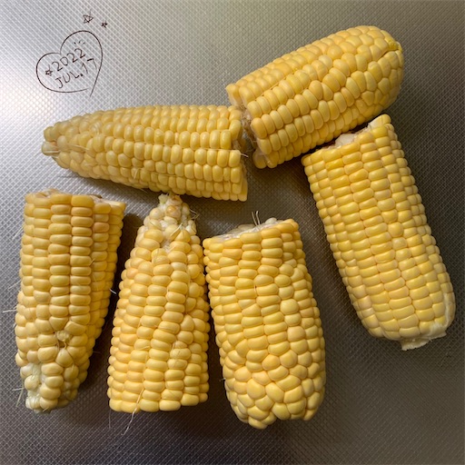 f:id:morinobanana:20220728102242j:image f:id:morinobanana:20220728102242j:image