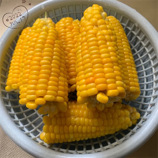 f:id:morinobanana:20220728102246j:image f:id:morinobanana:20220728102246j:image