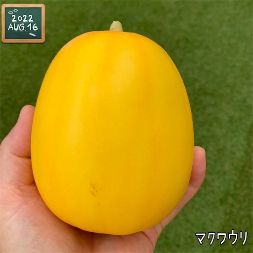 f:id:morinobanana:20220827224938j:image f:id:morinobanana:20220827224938j:image