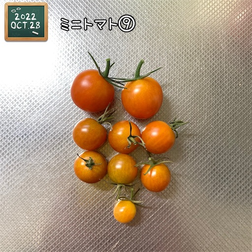f:id:morinobanana:20221112114856j:image f:id:morinobanana:20221112114856j:image
