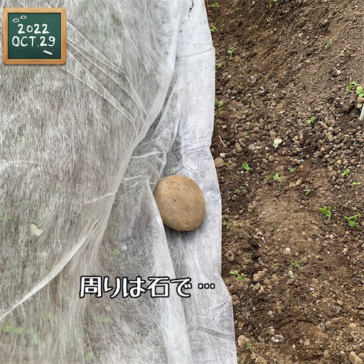 f:id:morinobanana:20221120151711j:image f:id:morinobanana:20221120151711j:image