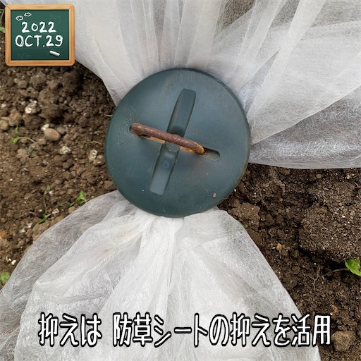 f:id:morinobanana:20221120151714j:image f:id:morinobanana:20221120151714j:image