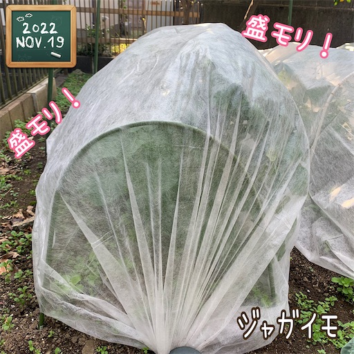 f:id:morinobanana:20221126150134j:image f:id:morinobanana:20221126150134j:image
