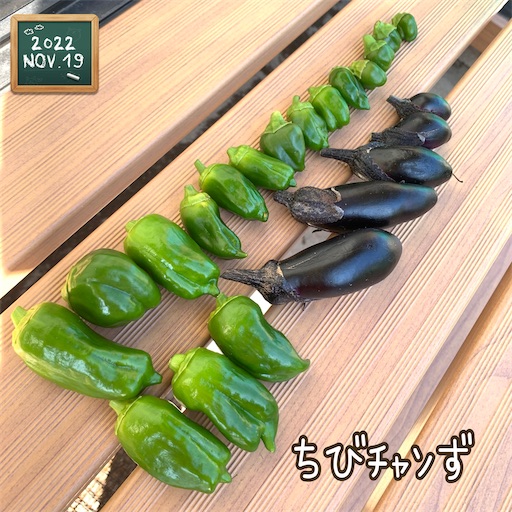 f:id:morinobanana:20221126151414j:image f:id:morinobanana:20221126151414j:image