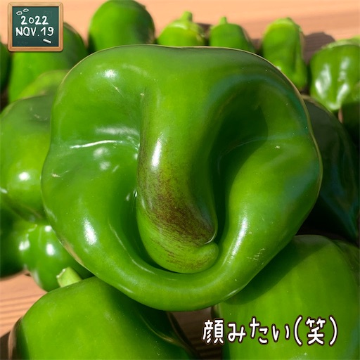 f:id:morinobanana:20221126151712j:image f:id:morinobanana:20221126151712j:image
