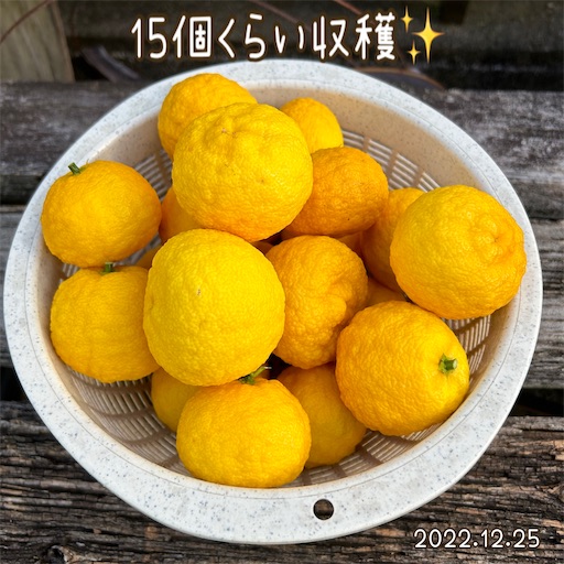 f:id:morinobanana:20230220145259j:image f:id:morinobanana:20230220145259j:image