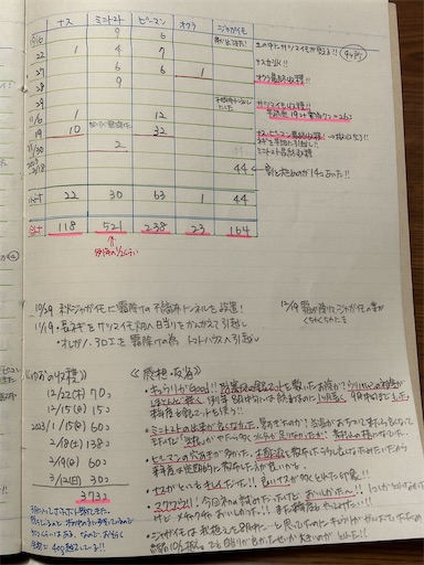 f:id:morinobanana:20230326141800j:image f:id:morinobanana:20230326141800j:image