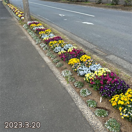f:id:morinobanana:20230401150707j:image f:id:morinobanana:20230401150707j:image