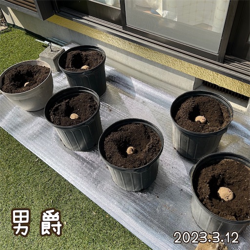 f:id:morinobanana:20230419160228j:image f:id:morinobanana:20230419160228j:image
