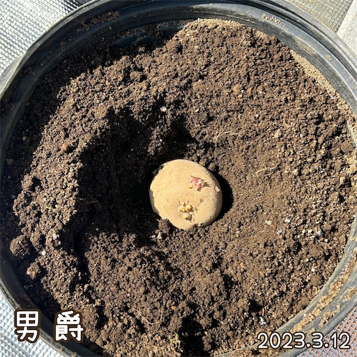 f:id:morinobanana:20230419161924j:image f:id:morinobanana:20230419161924j:image