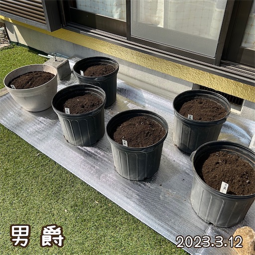 f:id:morinobanana:20230419161927j:image f:id:morinobanana:20230419161927j:image