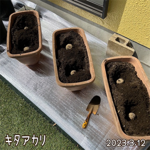 f:id:morinobanana:20230419161951j:image f:id:morinobanana:20230419161951j:image