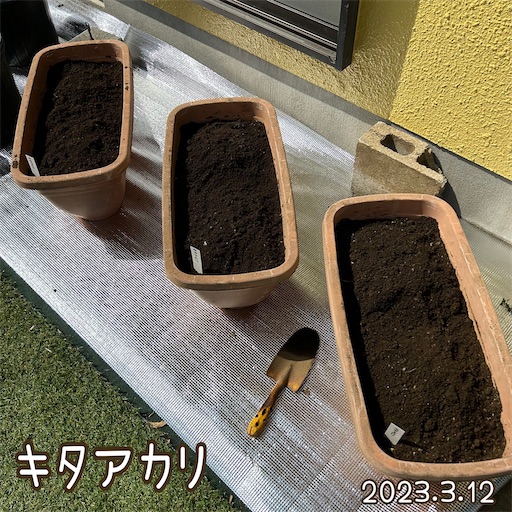 f:id:morinobanana:20230419161956j:image f:id:morinobanana:20230419161956j:image