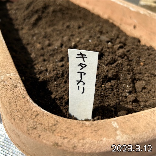 f:id:morinobanana:20230419161959j:image f:id:morinobanana:20230419161959j:image