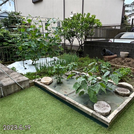 f:id:morinobanana:20230703152240j:image