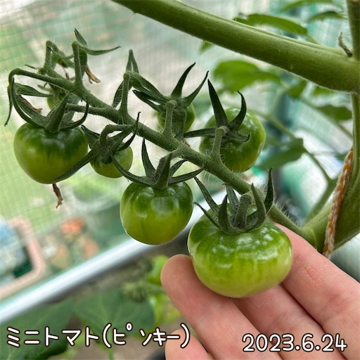 f:id:morinobanana:20230708151332j:image f:id:morinobanana:20230708151332j:image