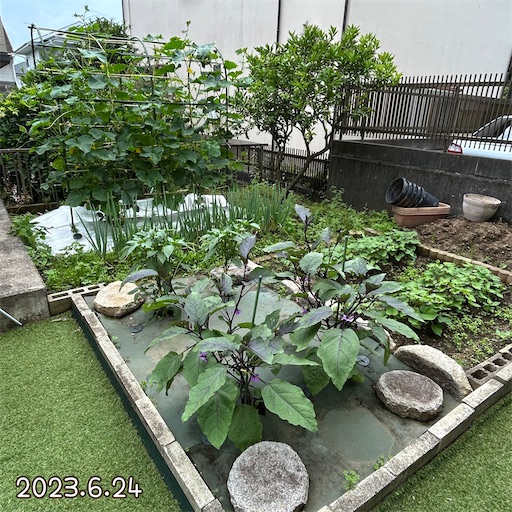 f:id:morinobanana:20230708151637j:image f:id:morinobanana:20230708151637j:image