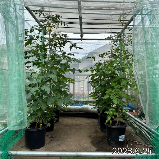 f:id:morinobanana:20230708154458j:image f:id:morinobanana:20230708154458j:image