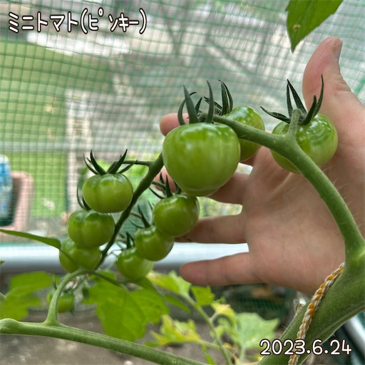 f:id:morinobanana:20230708155021j:image f:id:morinobanana:20230708155021j:image