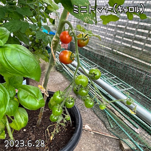 f:id:morinobanana:20230708155320j:image f:id:morinobanana:20230708155320j:image