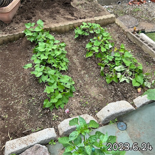 f:id:morinobanana:20230708163426j:image f:id:morinobanana:20230708163426j:image