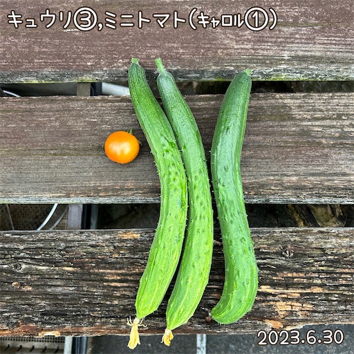 f:id:morinobanana:20230716151620j:image f:id:morinobanana:20230716151620j:image