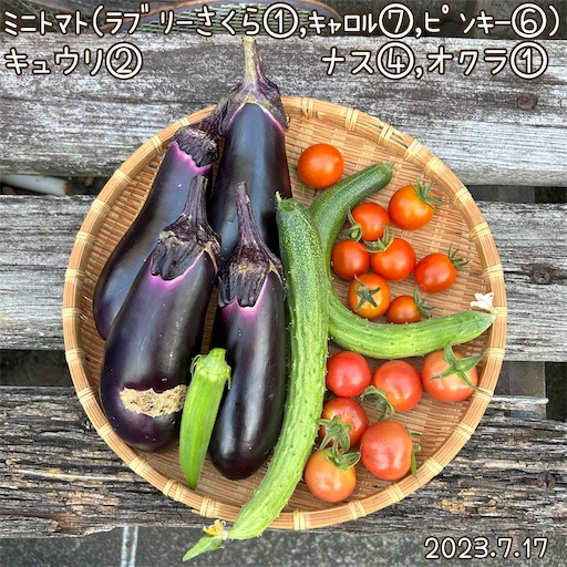f:id:morinobanana:20230723224928j:image
