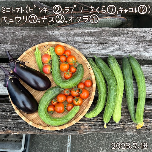f:id:morinobanana:20230723225611j:image