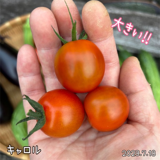 f:id:morinobanana:20230723225614j:image